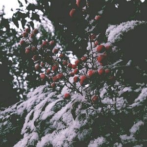 Meet your Posher, Hanna